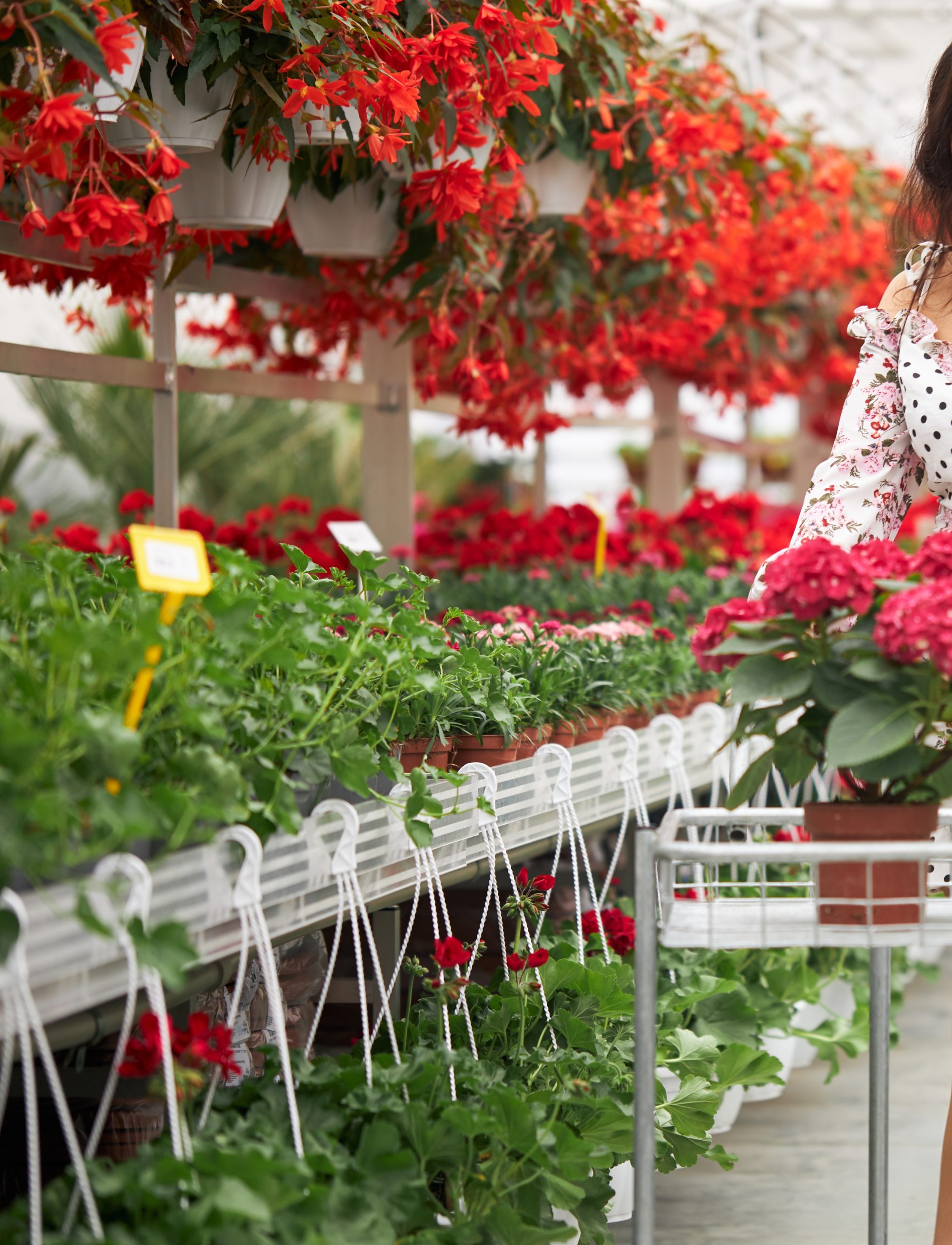 Gardening Coordination in marbella