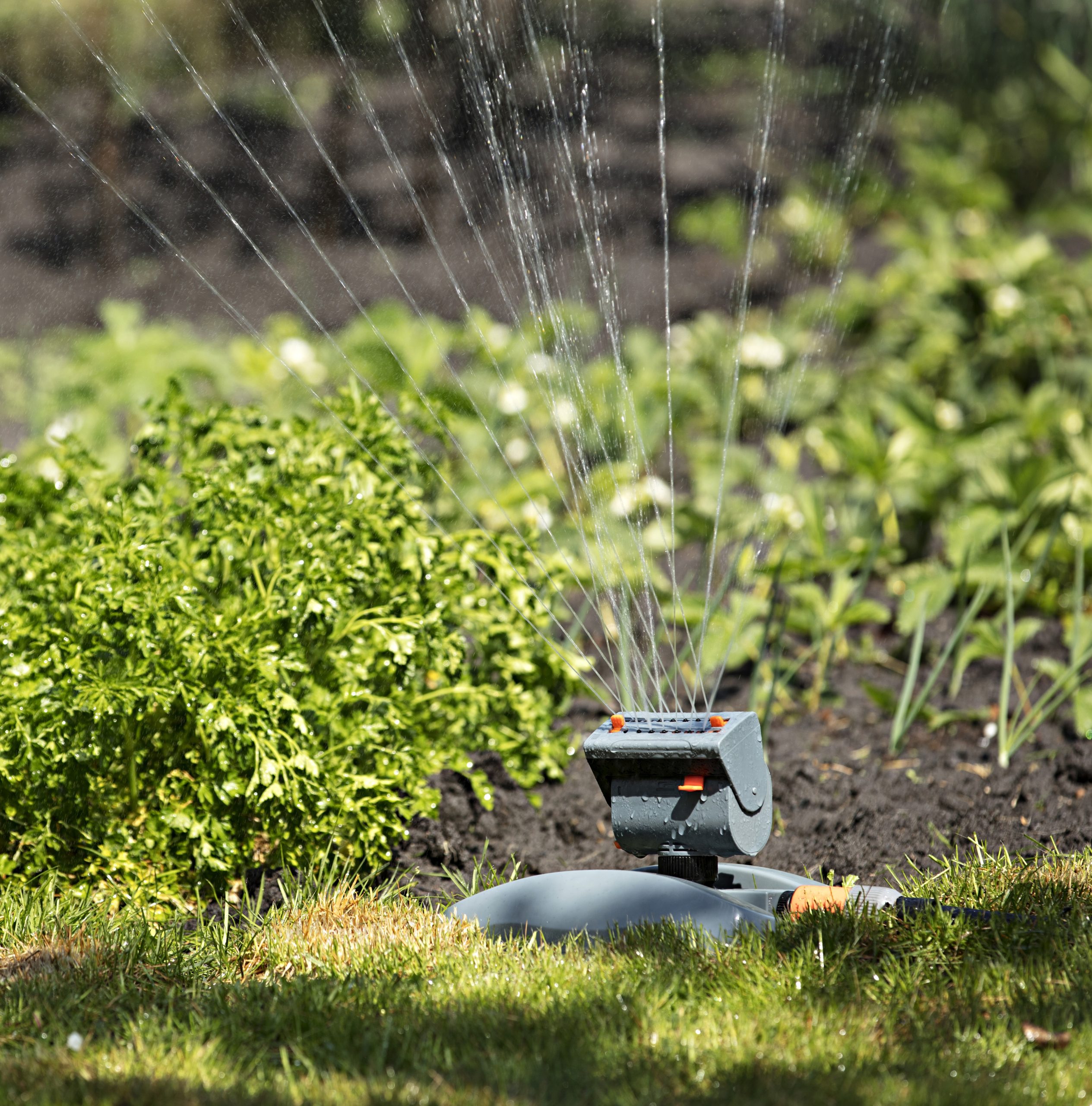 marbella irrigation system company