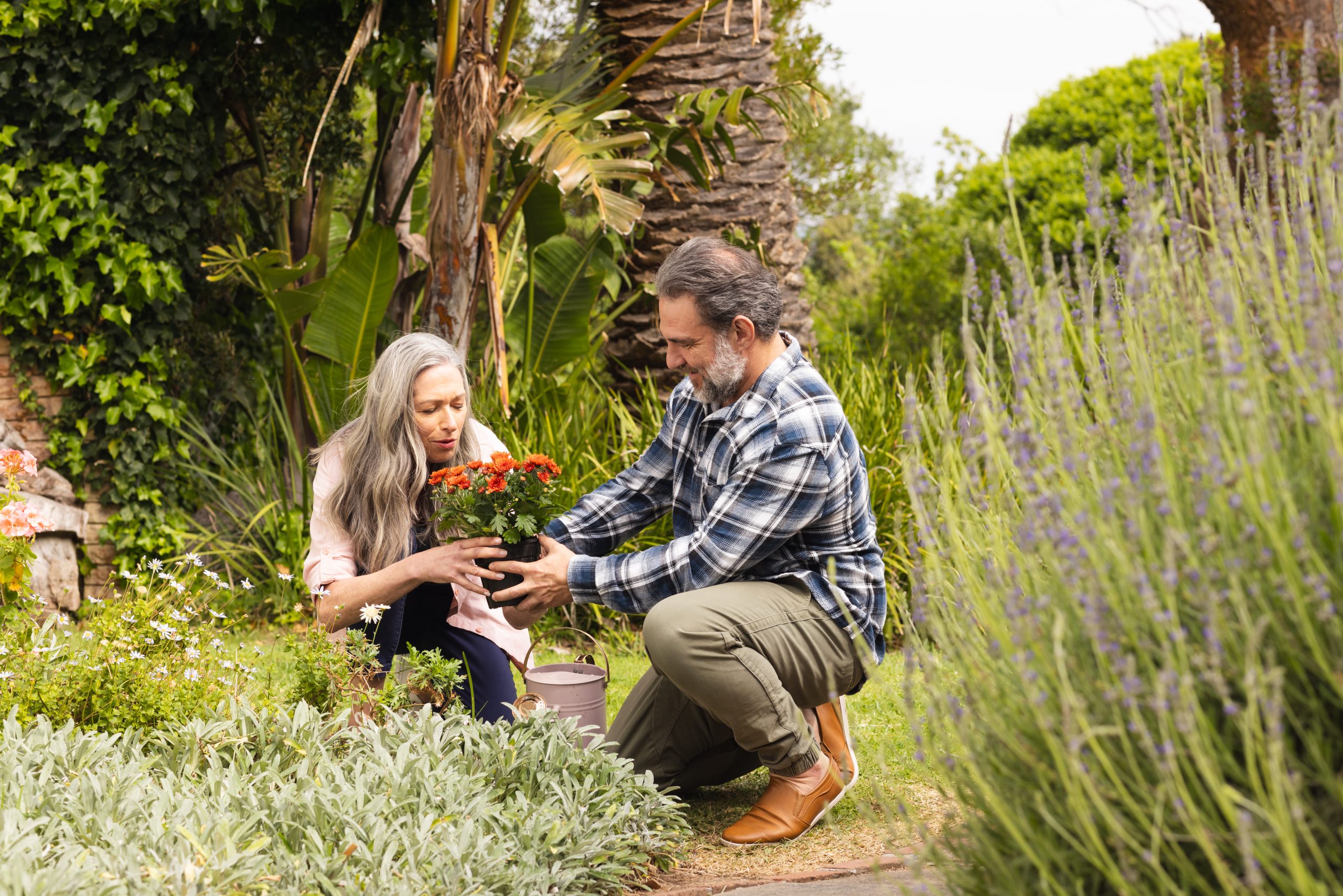 Mature couple gardening together, planting flowers in lush green garden, outdoors. horticulture, outdoors, nature, environment, teamwork, leisure