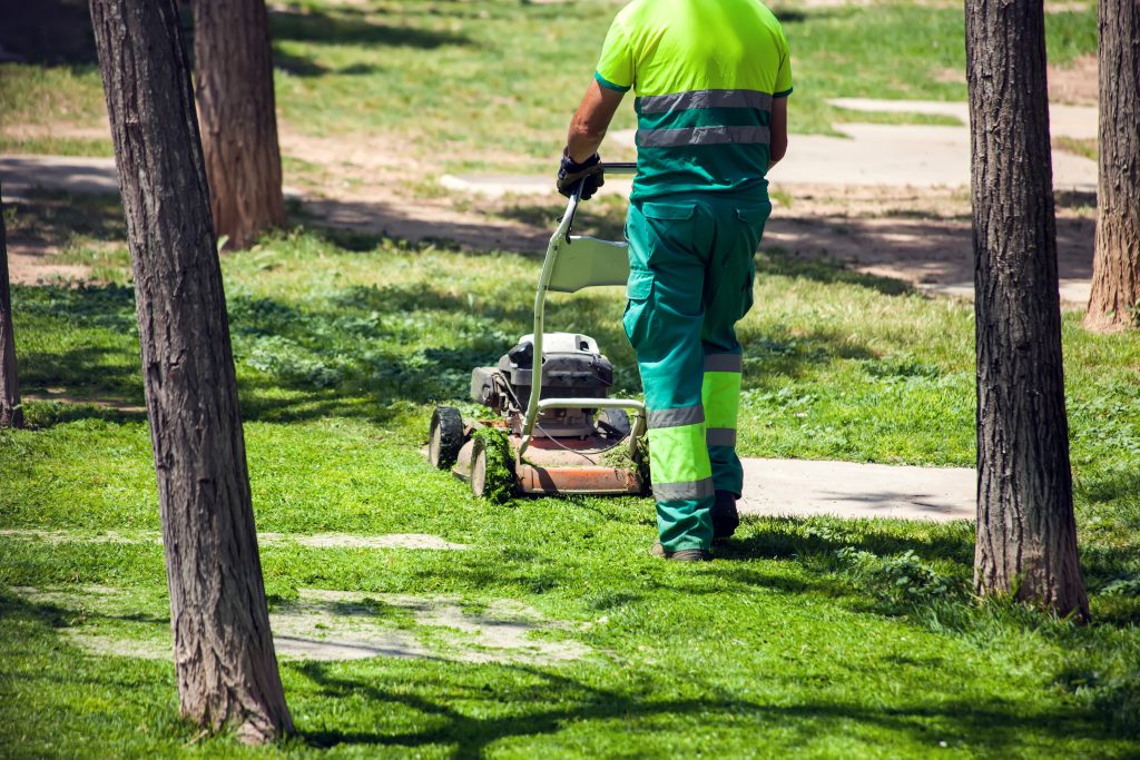 marbella lawn mowing
