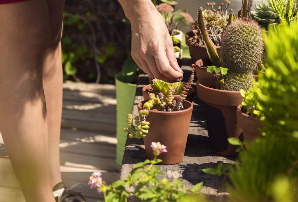 gardening coordination